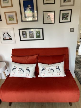 Haru Sofa Bed in Tangerine orange recycled velvet