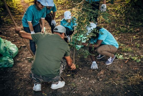 plant a tree initiative