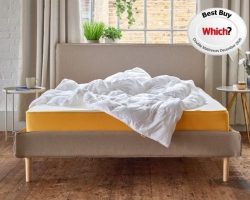 eve mattress detailed review